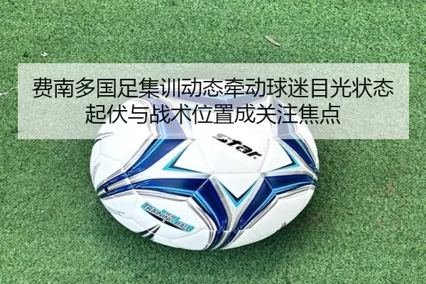 费南多国足集训动态牵动球迷目光状态起伏与战术位置成关注焦点