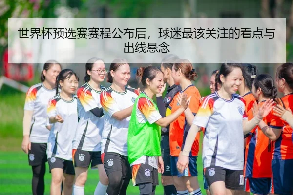 世界杯预选赛赛程公布后，球迷最该关注的看点与出线悬念
